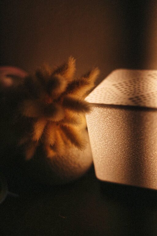 How to Create a Relaxing Playlist for Peaceful Evenings